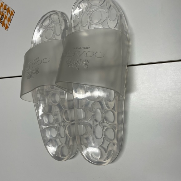 Coach clear plastic pool slides - Picture 2 of 4